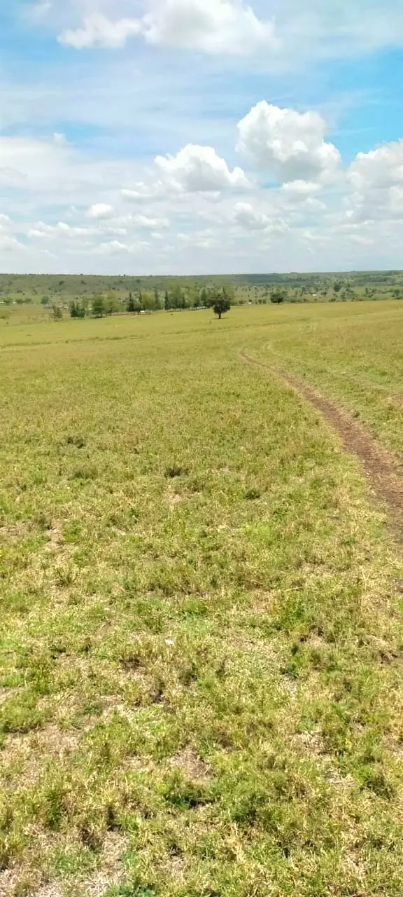 70 Acres in Kitengela, Acacia